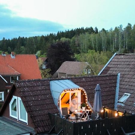 Harzer Rabe Apartment Braunlage Bagian luar foto
