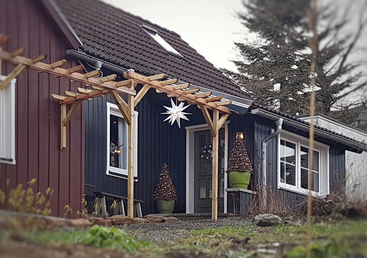 Harzer Rabe Apartment Braunlage Bagian luar foto