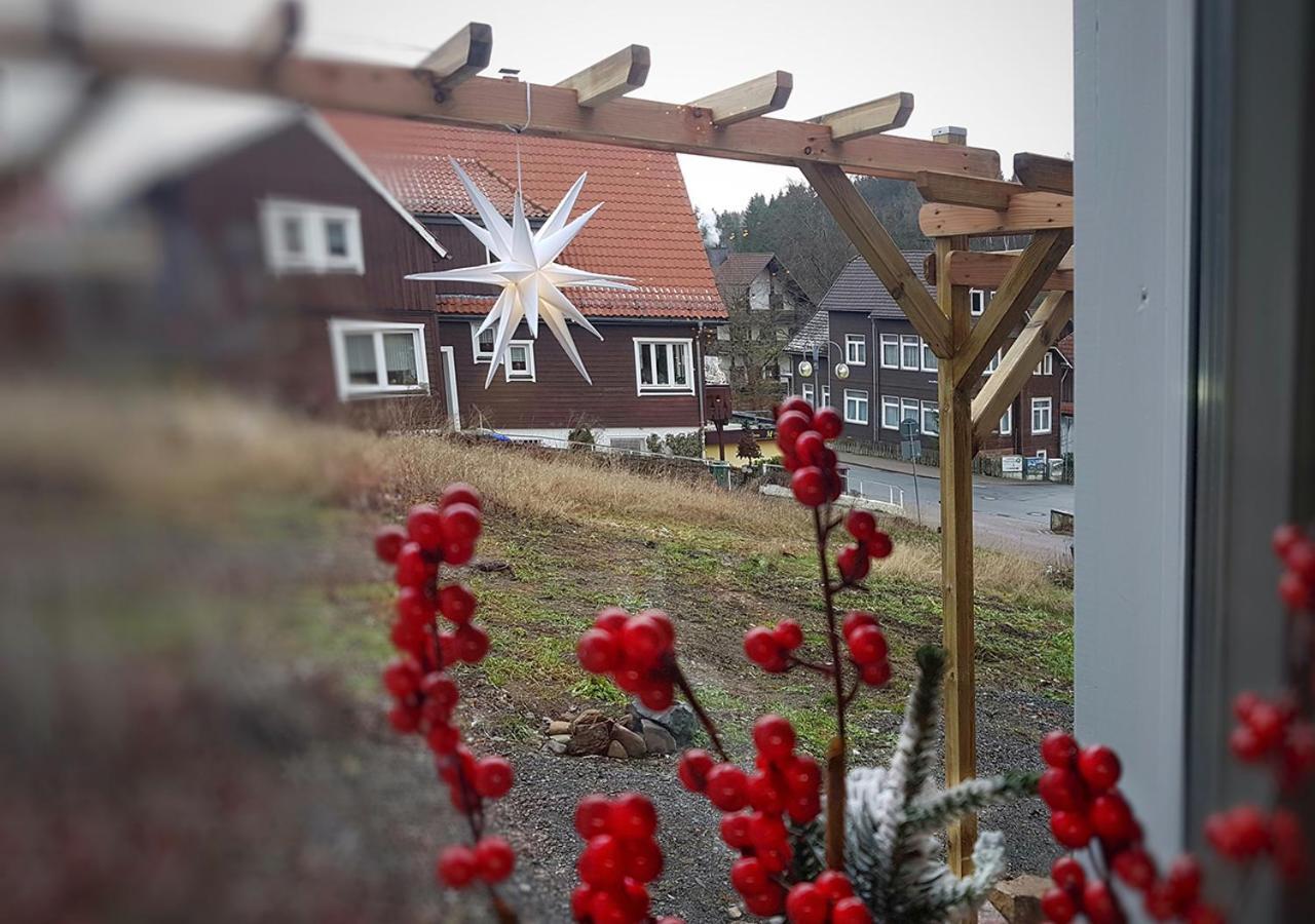 Harzer Rabe Apartment Braunlage Bagian luar foto